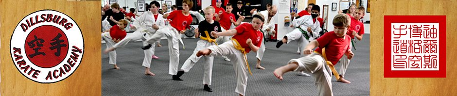 Dillsburg Karate Academy